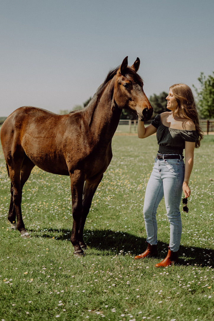 Sterk — Van Velze & Smith