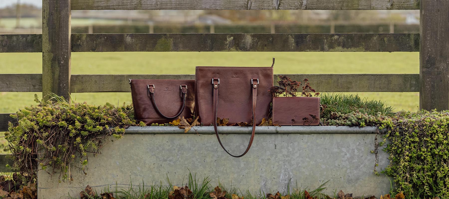 Womens Black Friday — Van Velze & Smith