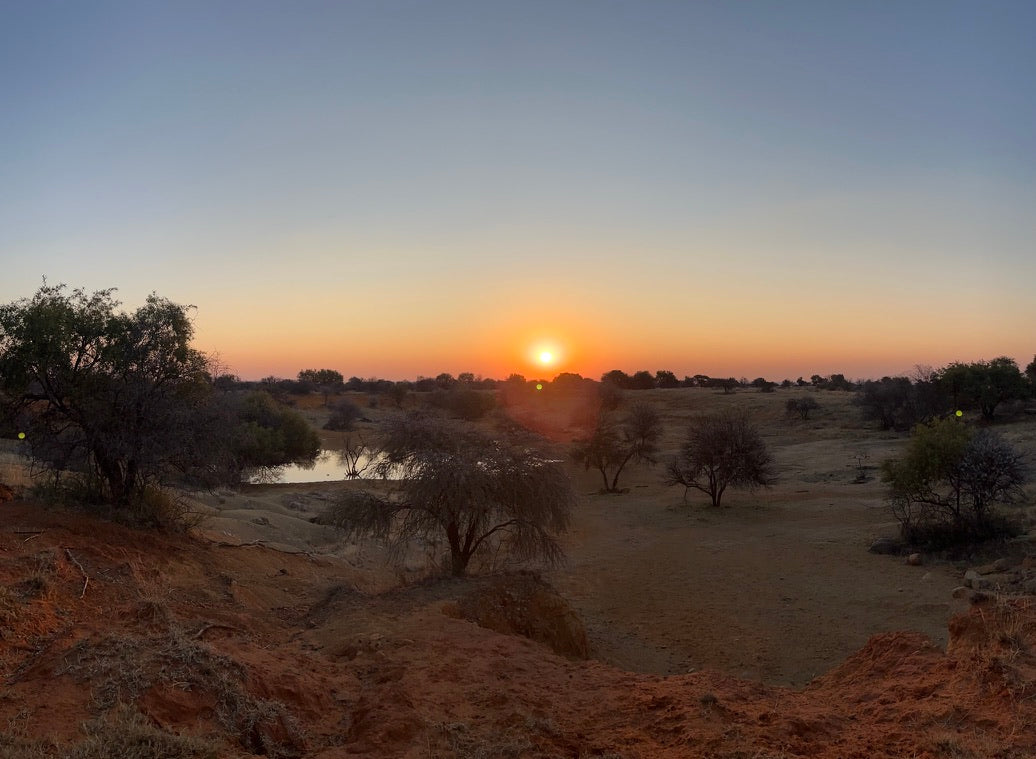 Sunset over South African bushveld
